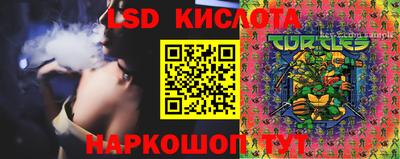 шишки Севастополь